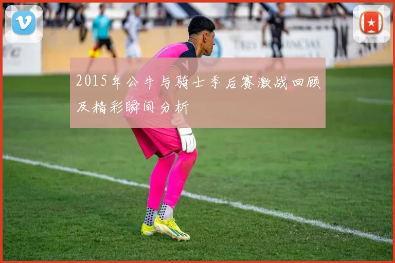 2015年公牛与骑士季后赛激战回顾及精彩瞬间分析